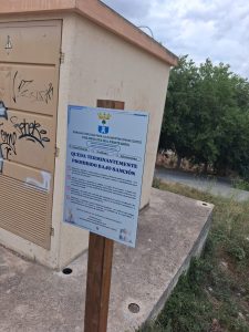 Zona de Alimentación Felinos