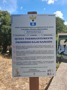 Cartel Felinos