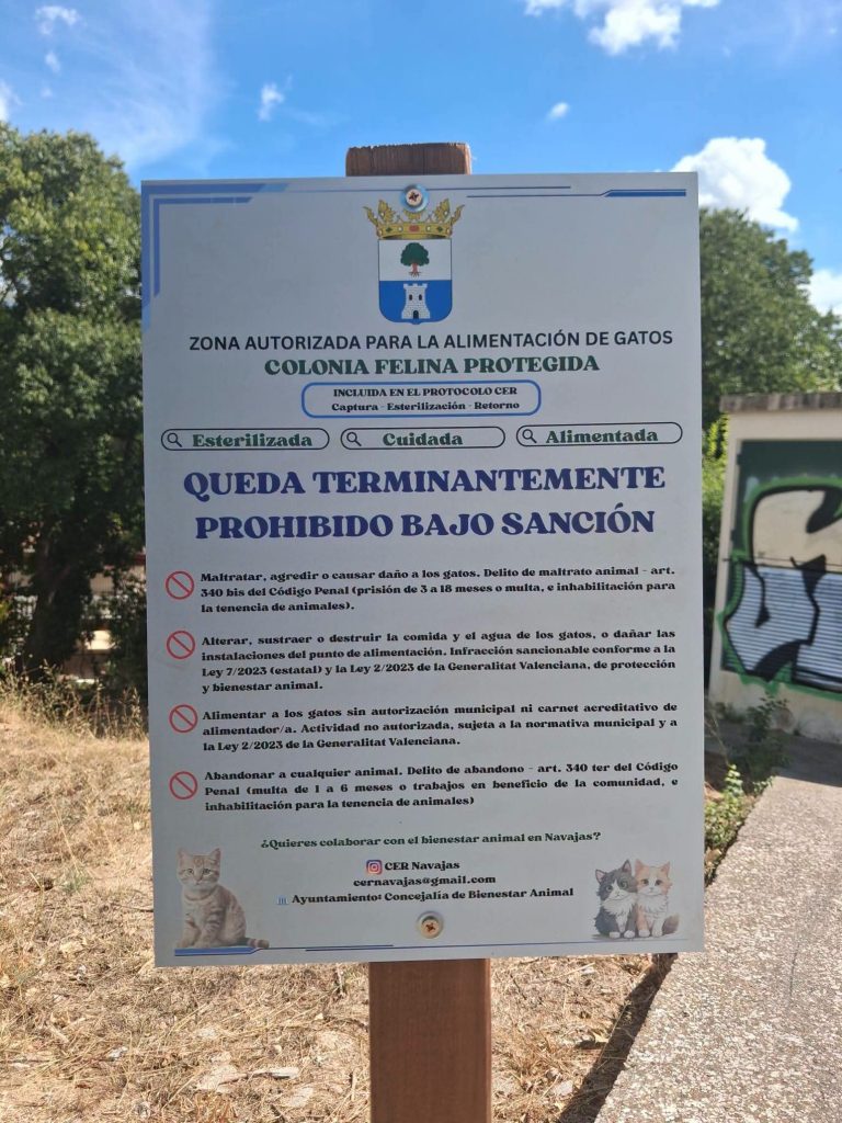Cartel Felinos